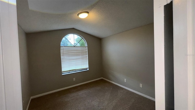 12804 Millridge Forest St, Tampa, FL 33624 - empty room featuring lofted ceiling, dark carpet, baseboards, and a textured ceiling