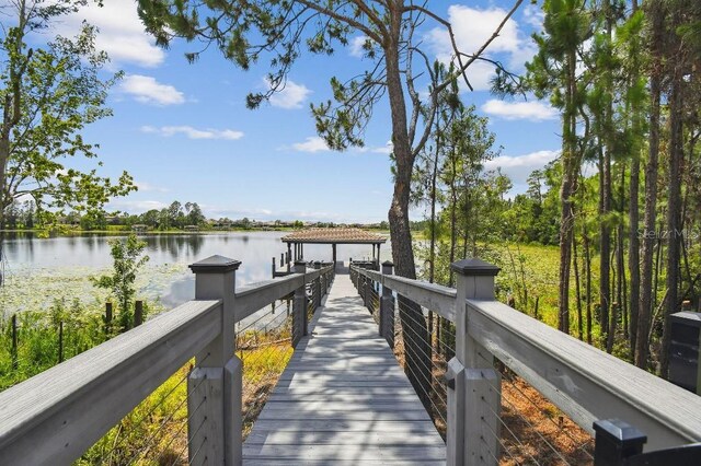 9080 Morgana Ct, Winter Garden, FL 34787 - dock area with a water view