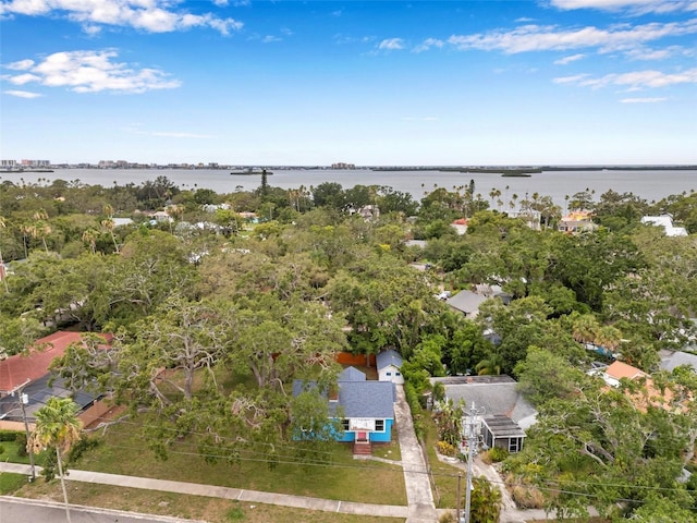 320 Broadway, Dunedin, FL 34698 - bird's eye view of a large body of water and a tree filled landscape