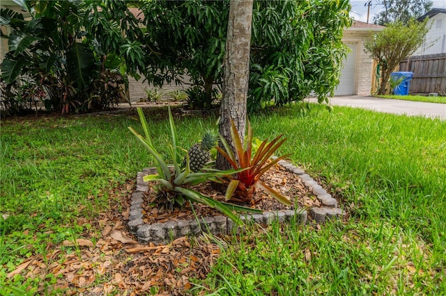 117 Connie Ave, Tampa, FL 33613 - view of yard with driveway