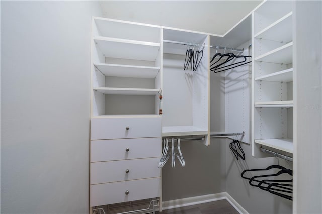 117 Connie Ave, Tampa, FL 33613 - view of spacious closet