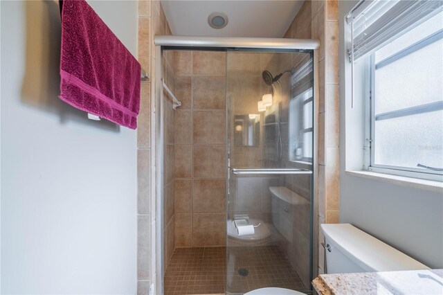 117 Connie Ave, Tampa, FL 33613 - bathroom featuring toilet, plenty of natural light, a shower stall, and vanity