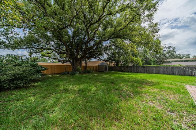 117 Connie Ave, Tampa, FL 33613 - view of yard