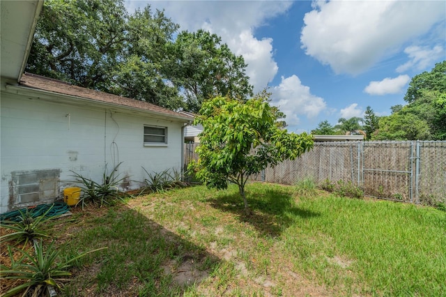 117 Connie Ave, Tampa, FL 33613 - view of yard
