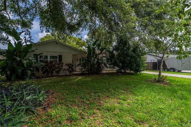 117 Connie Ave, Tampa, FL 33613 - view of grassy yard with concrete driveway