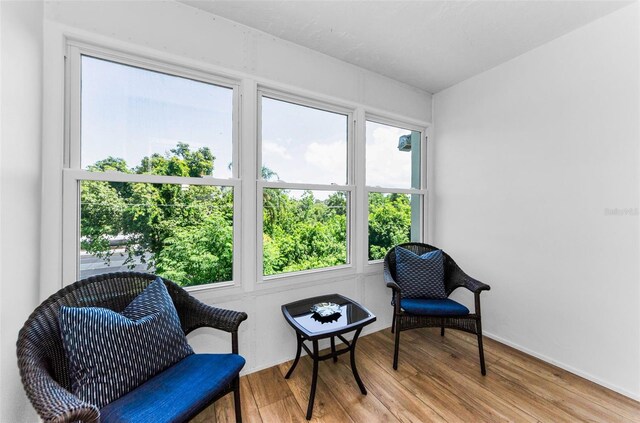 952 Virginia St Unit 303, Dunedin, FL 34698 - photo 11