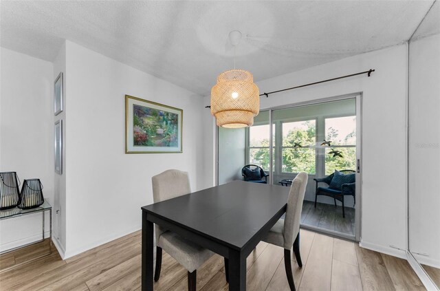 952 Virginia St Unit 303, Dunedin, FL 34698 - photo 25