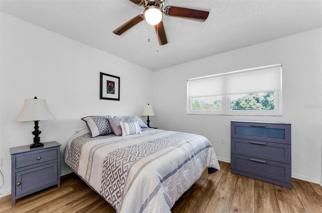 952 Virginia St Unit 303, Dunedin, FL 34698 - photo 31