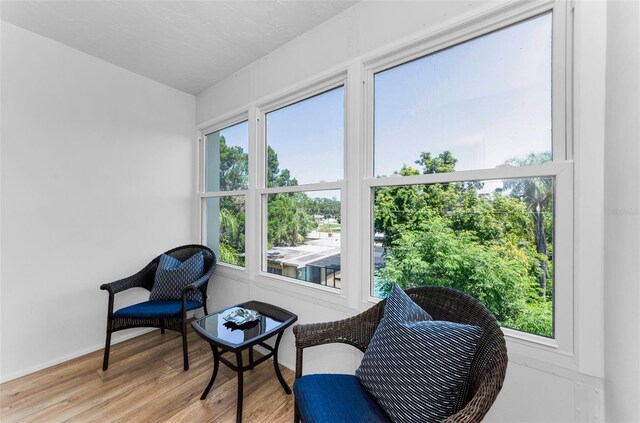 952 Virginia St Unit 303, Dunedin, FL 34698 - photo 35