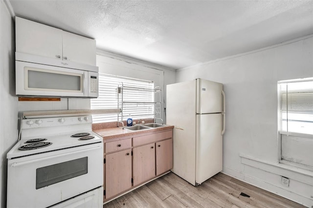 2808 N Highland Ave, Tampa, FL 33602 - photo 8