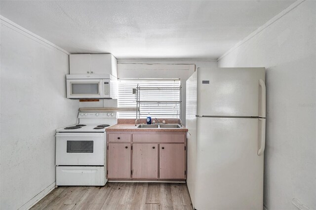 2808 N Highland Ave, Tampa, FL 33602 - photo 9