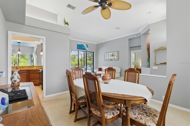 3457 Foxhall Dr, Holiday, FL 34691 - photo 10