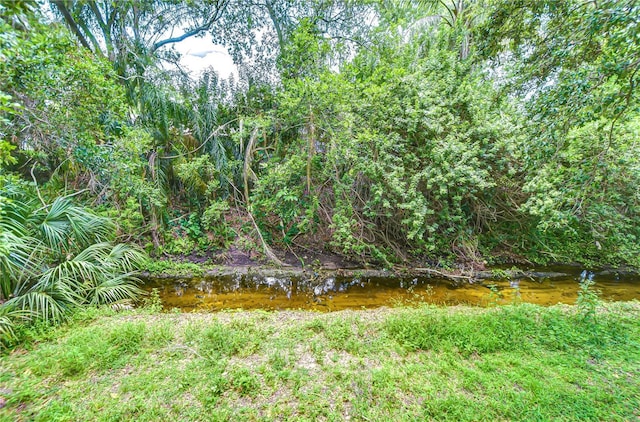 2051 Indigo Dr, Clearwater, FL 33763 - photo 78