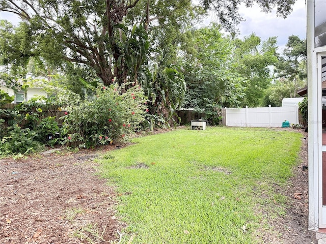 2523 Krueger Ln, Tampa, FL 33618 - view of yard