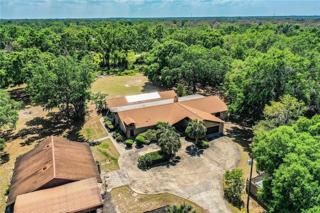 309 Hidden Lake Dr, Brandon, FL 33511 - bird's eye view of a forest