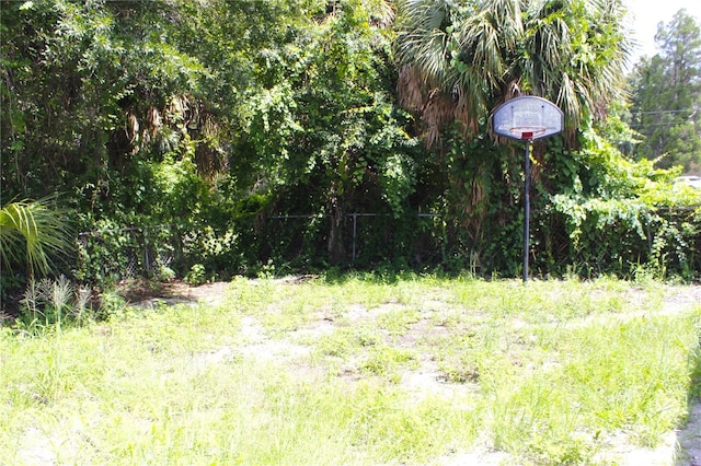 1109 N Obrien St, Tampa, FL 33607 - view of undeveloped land