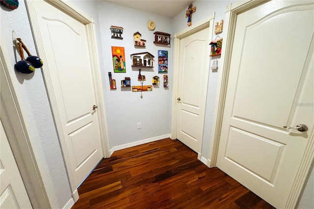1842 Ridgelake Ct, Wesley Chapel, FL 33543 - hallway featuring dark wood-style floors and baseboards