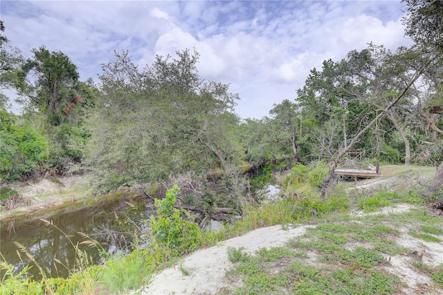 5290 Cyril Dr, Dade City, FL 33523 - view of yard featuring a view of trees