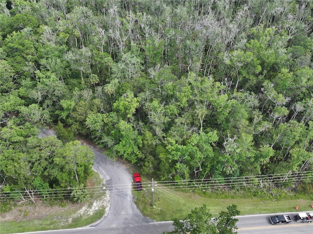 9600 W Fishbowl Dr, Homosassa, FL 34448 - photo 4