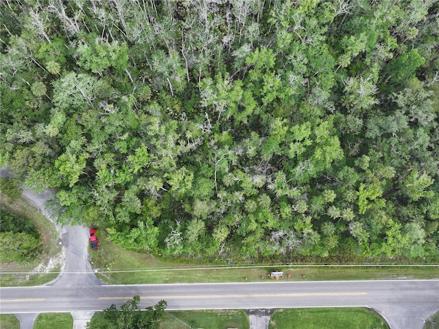 9600 W Fishbowl Dr, Homosassa, FL 34448 - photo 8