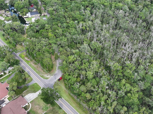 9600 W Fishbowl Dr, Homosassa, FL 34448 - photo 10