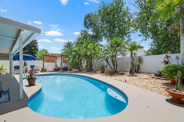 810 Erik Lake Rd, Brandon, FL 33510 - view of swimming pool with a fenced backyard and a patio