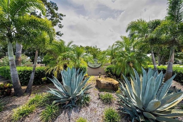 3089 Ashland Ter, Clearwater, FL 33761 - photo 44
