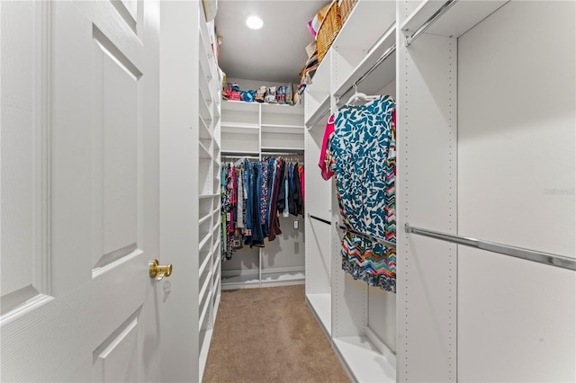137 Silver Falls Dr, Apollo Beach, FL 33572 - spacious closet with carpet flooring