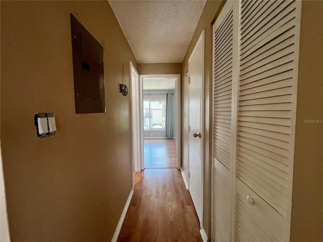 4215 E Bay Dr Unit 1707C, Clearwater, FL 33764 - hall with electric panel, a textured ceiling, baseboards, and wood finished floors