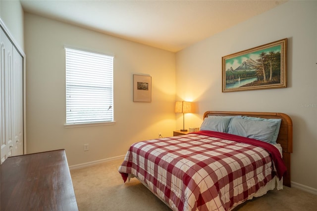 11038 Spring Point Cir, Riverview, FL 33579 - bedroom featuring carpet floors and a closet