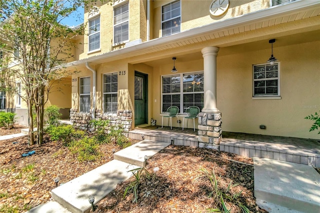 213 Draw Bridge Ln, Valrico, FL 33594 - doorway to property featuring covered porch and stucco siding