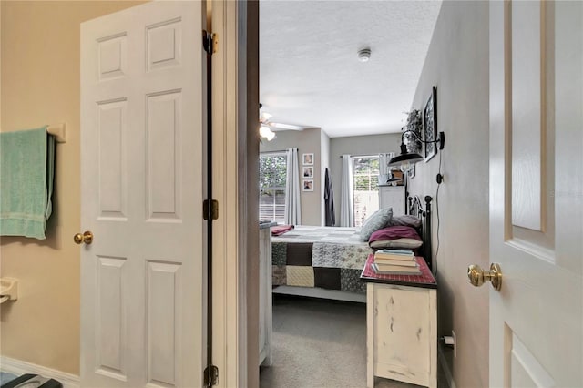 213 Draw Bridge Ln, Valrico, FL 33594 - carpeted bedroom with baseboards and a textured ceiling