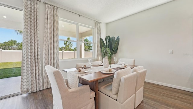 7747 Wheat Stone Dr, Zephyrhills, FL 33540 - dining space featuring wood finished floors, plenty of natural light, and baseboards
