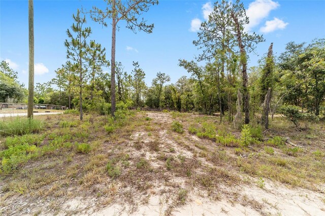 191 SE 148th Ave, Williston, FL 32696 - photo 34