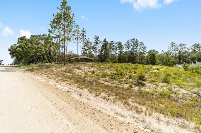 191 SE 148th Ave, Williston, FL 32696 - photo 35