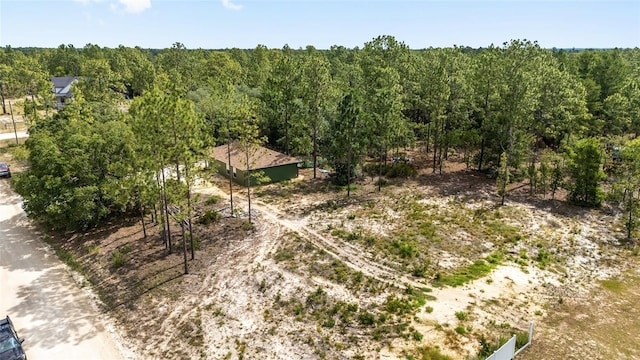 191 SE 148th Ave, Williston, FL 32696 - photo 41