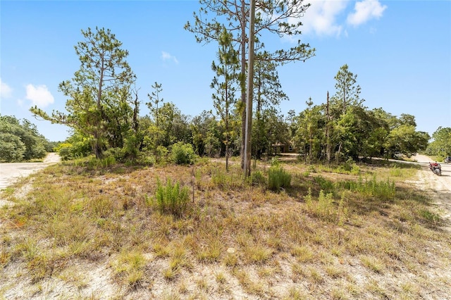 191 SE 148th Ave, Williston, FL 32696 - photo 33