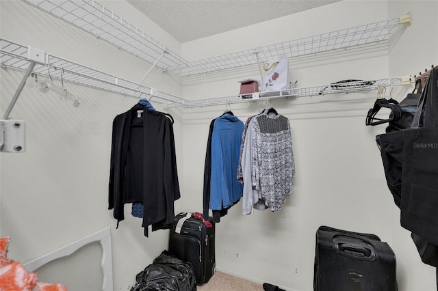 7708 Fairlawn Dr, Hudson, FL 34667 - spacious closet with carpet flooring