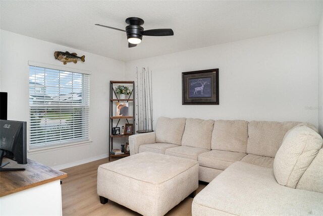 6226 165th Dr E, Parrish, FL 34219 - photo 16