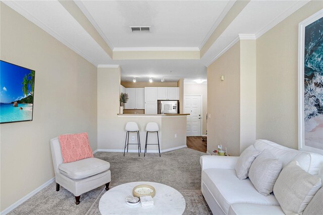 4221 W Spruce St Unit 1429, Tampa, FL 33607 - living area featuring light carpet, ornamental molding, baseboards, and a tray ceiling
