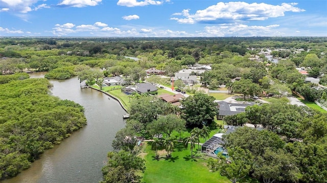 1721 Allens Creek Dr, Clearwater, FL 33764 - photo 82
