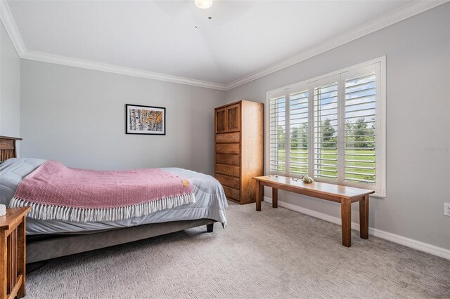 10232 Buncombe Way, San Antonio, FL 33576 - bedroom with light carpet and crown molding