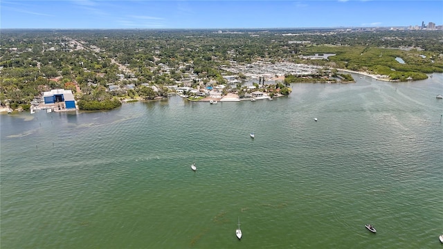 4771 Baywood Point Dr S, Gulfport, FL 33711 - photo 53