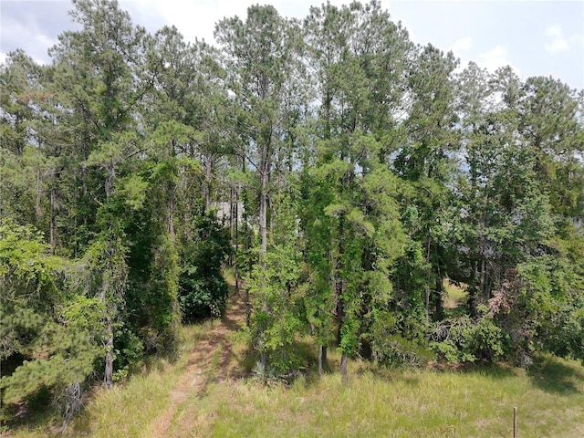 4816 Majestic Hills Loop, Brooksville, FL 34601