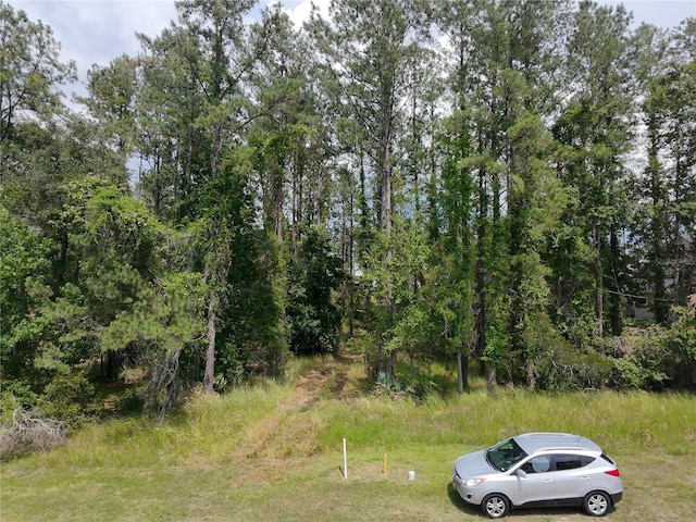 4816 Majestic Hills Loop, Brooksville, FL 34601
