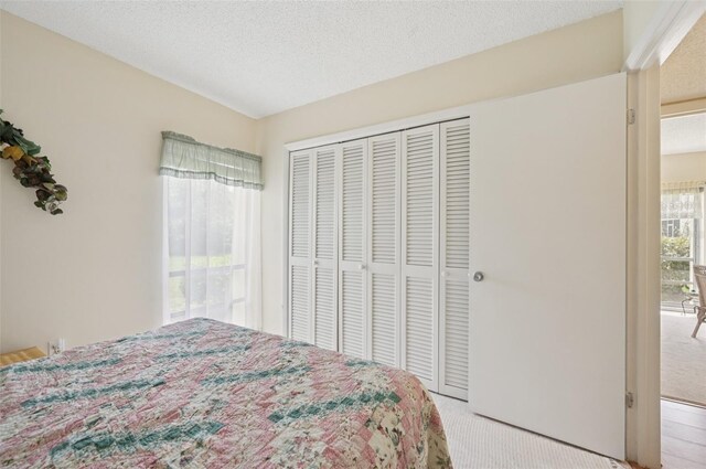 7304 W Country Club Dr N Unit 113, Sarasota, FL 34243 - bedroom with a closet and light colored carpet