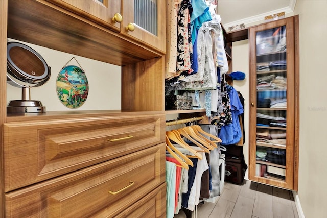 5501 80th St N Unit 206, Saint Petersburg, FL 33709 - view of walk in closet
