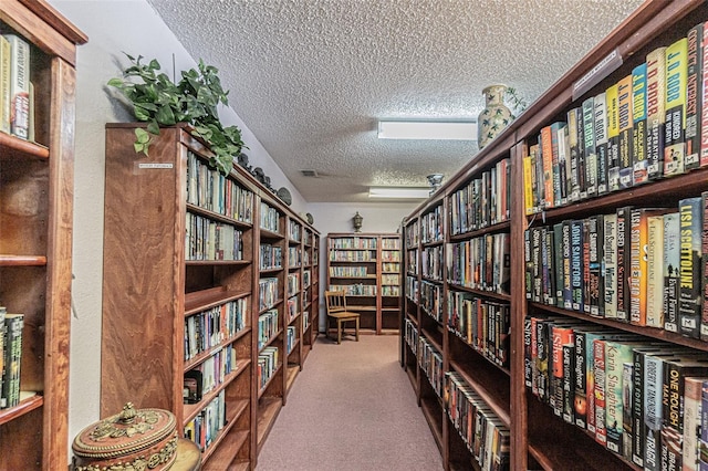 5501 80th St N Unit 206, Saint Petersburg, FL 33709 - misc room featuring bookshelves, a textured ceiling, and carpet