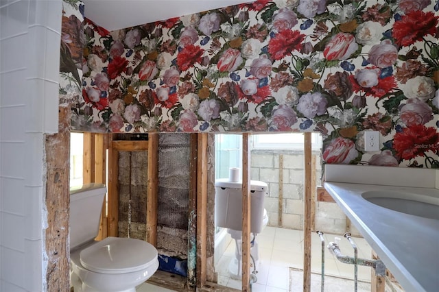 1897 Dolphin Blvd S, Saint Petersburg, FL 33707 - bathroom featuring toilet and a sink