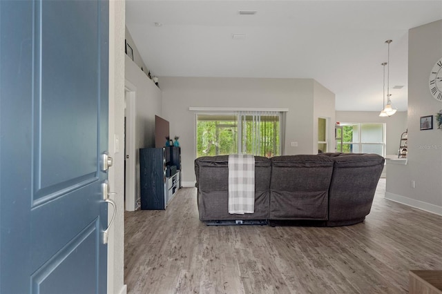16473 Scaup Duck Ave, Weeki Wachee, FL 34614 - living area featuring wood finished floors, plenty of natural light, and baseboards